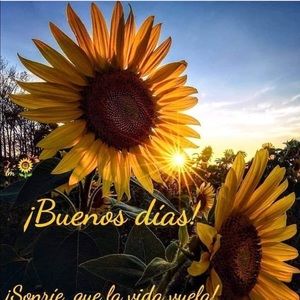 Meet your Posher, Lety